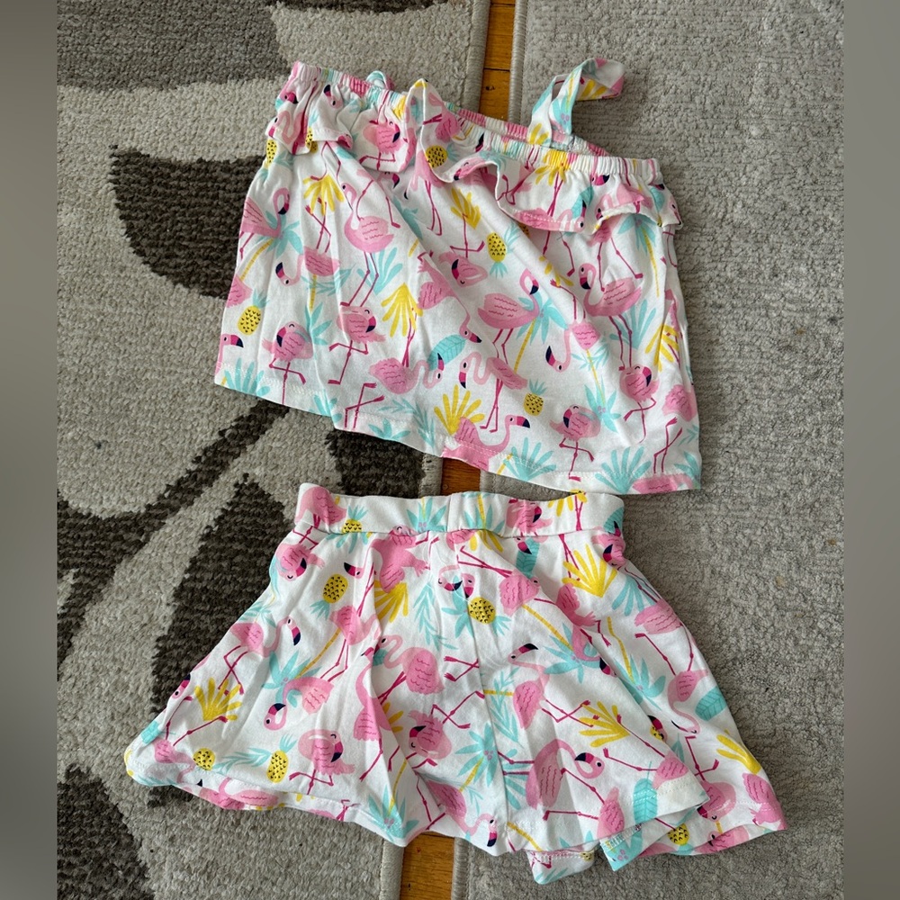 Flamingo girls 2t